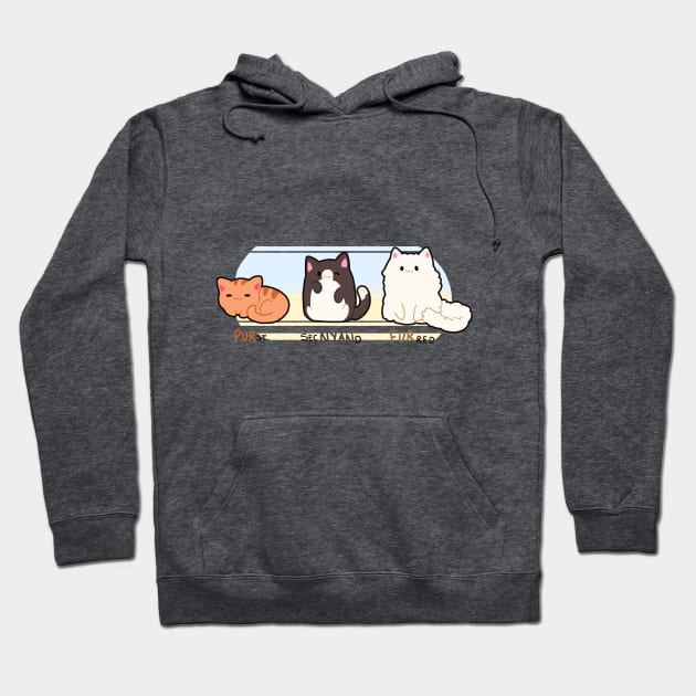 Counting in Cats Hoodie by Binoftrash